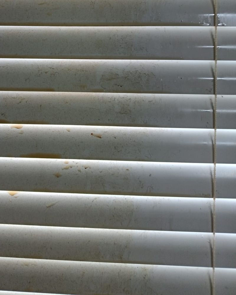 White venetian blinds covered in rust spots and stains before cleaning
